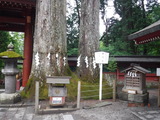 DSCF7717