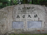 DSCF6575