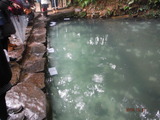 DSCF5020
