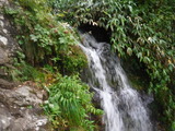 DSCF2479