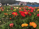 IMG-3389