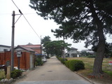 DSCF4595