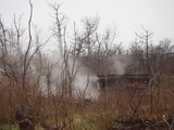 P3170449