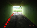 BlogPaint