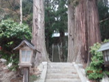 DSCF5119