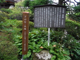 DSCF6964