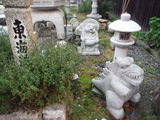 DSCF4690