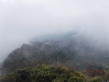 DSCF5993