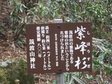 DSCF5979