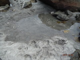 DSCF8284