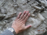 DSCF5121
