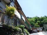 DSCF6806