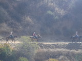 DSCF2270