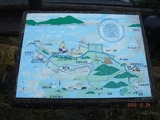 DSCF9974