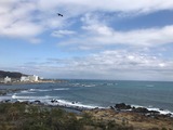 IMG-3401