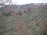 DSCF3165