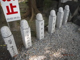 DSCF0487