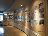 DSCF2246