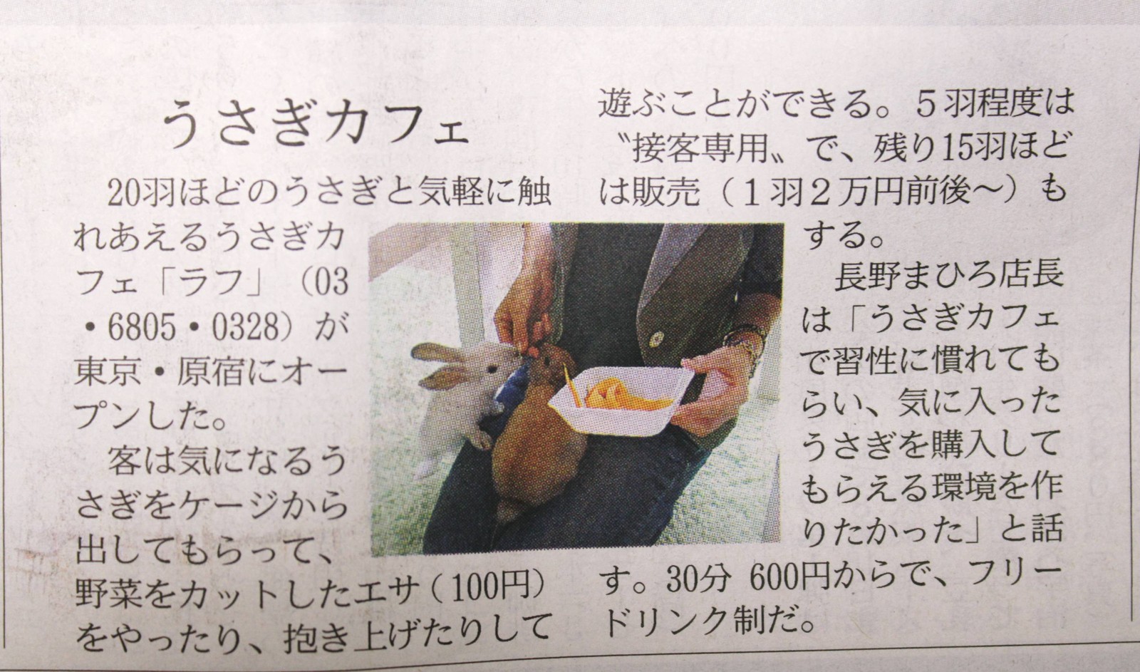 うさぎカフェ 原宿 ラフ が新聞に載ったよ Toyotaboxyのblog