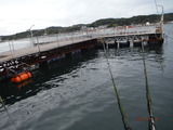 DSCF5406