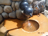 DSCF7565