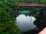 DSCF7809