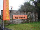 DSCF7307