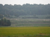 DSCF4602