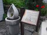 DSCF6295