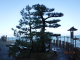 DSCF0037