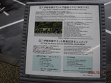 DSCF9941