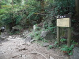 DSCF8746