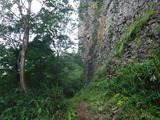 DSCF2442