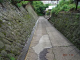DSCF6928