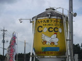 DSCF6419