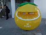 DSCF0599