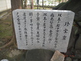 DSCF0489