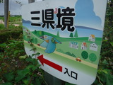 DSCF6528