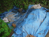 DSCF4063