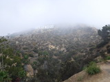 DSCF2254