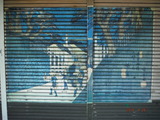 DSCF5597