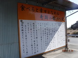 DSCF5234
