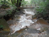 DSCF7367