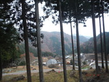 DSCF9184