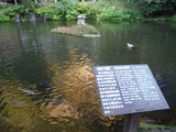 DSCF5920