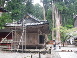 DSCF7728