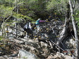 DSCF6791