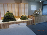 DSCF0020