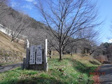 DSCF3189