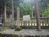 DSCF6273
